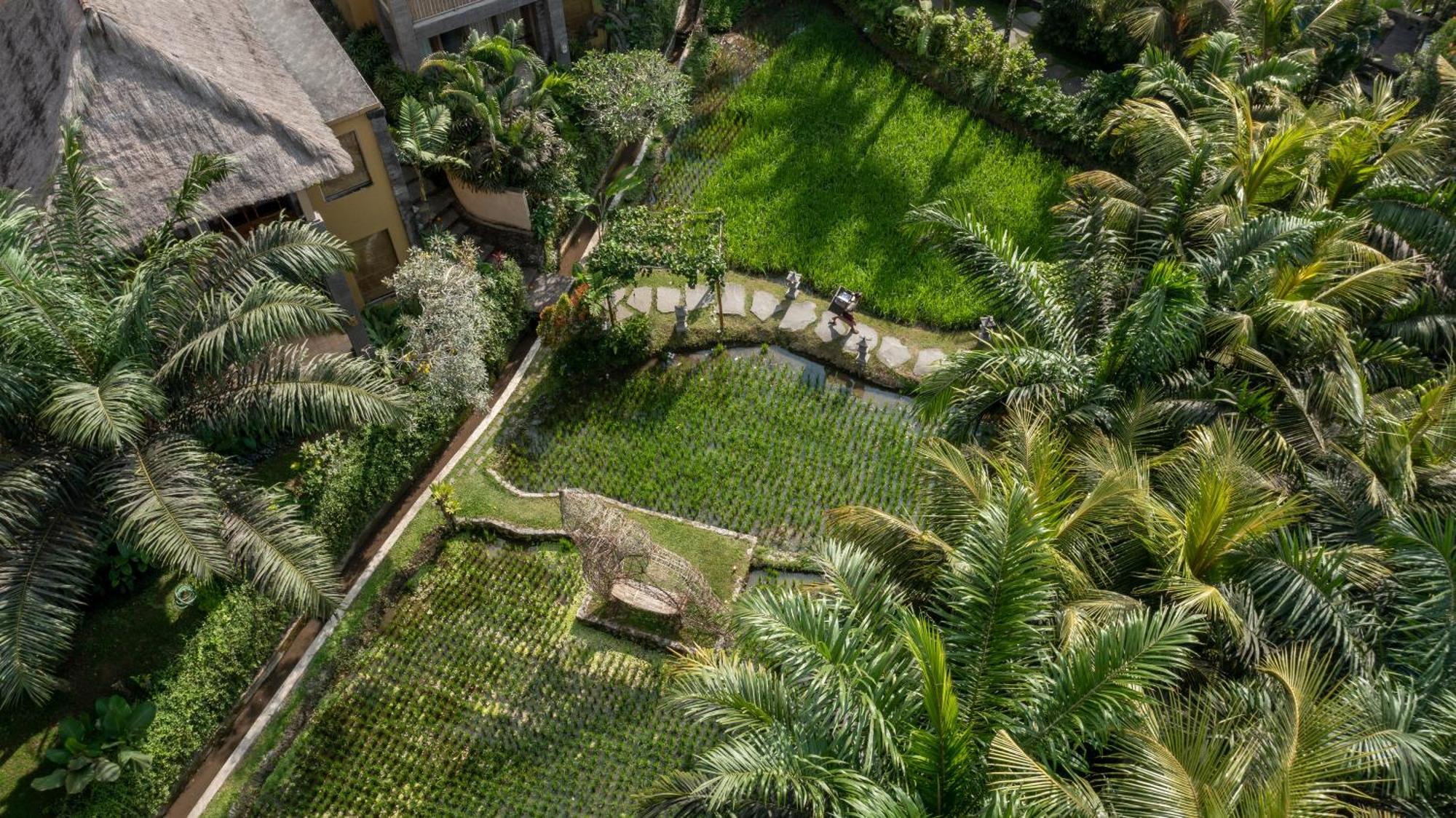 The Sankara Resort By Pramana Ubud Zewnętrze zdjęcie
